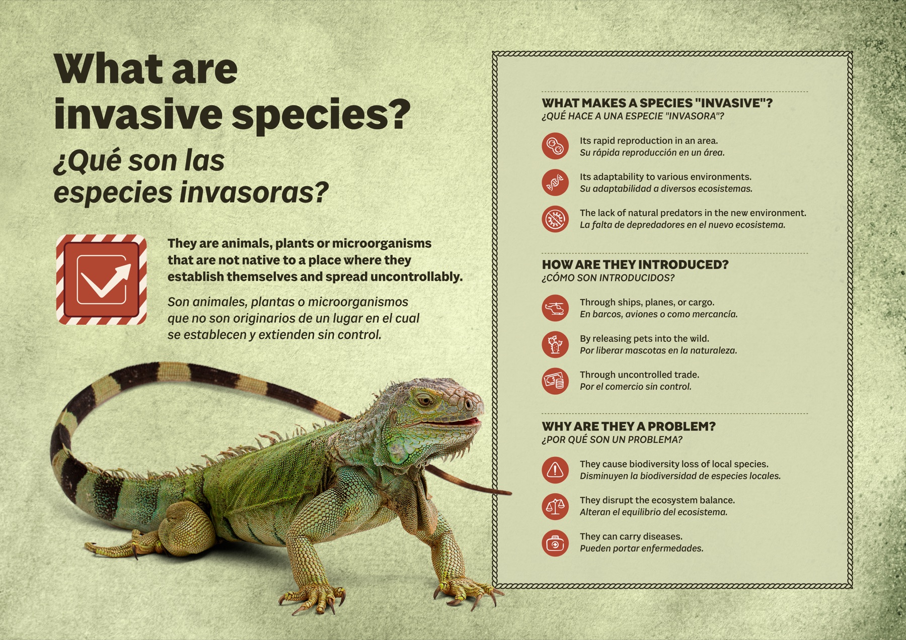 Animal Invasor