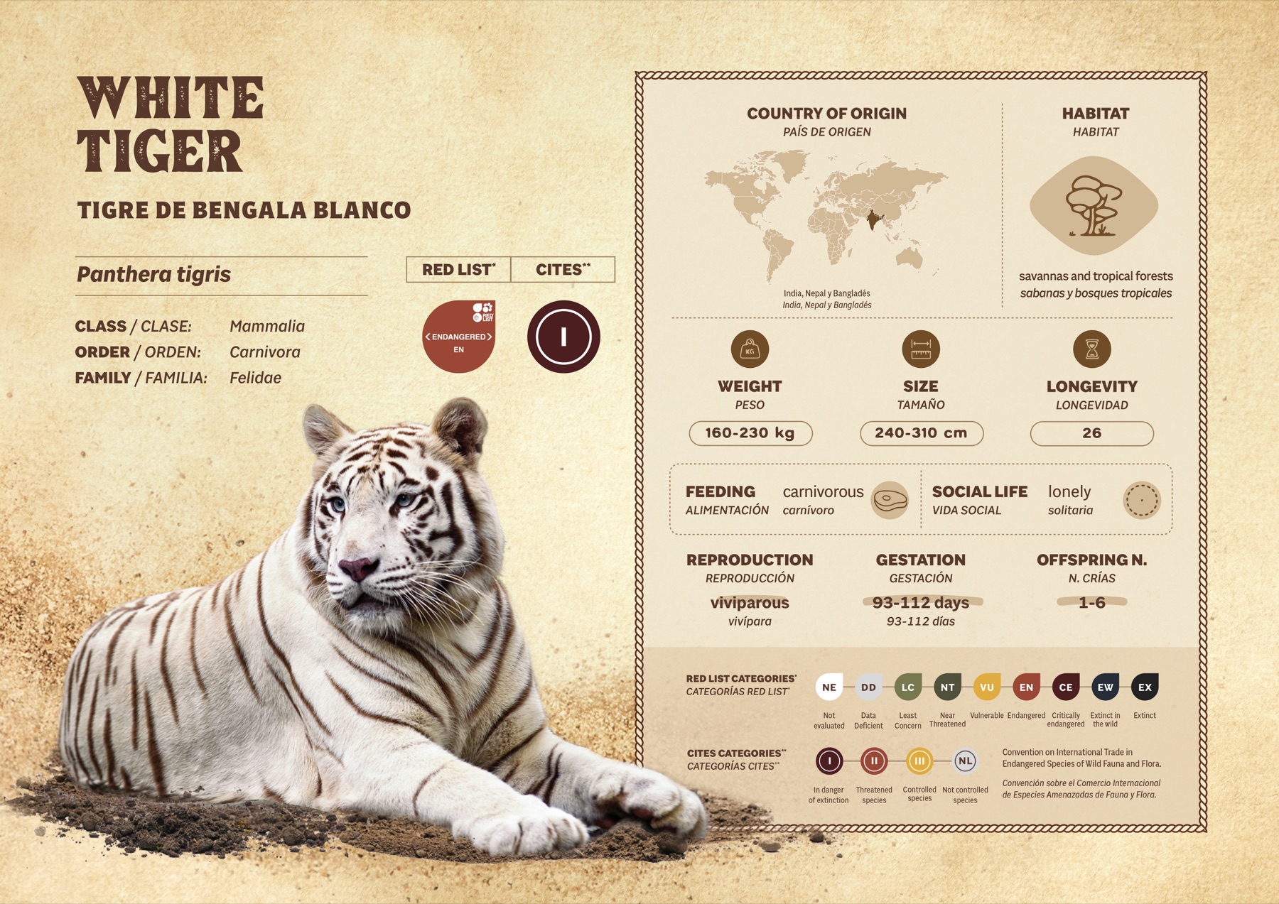 Ficha Tigre Blanco